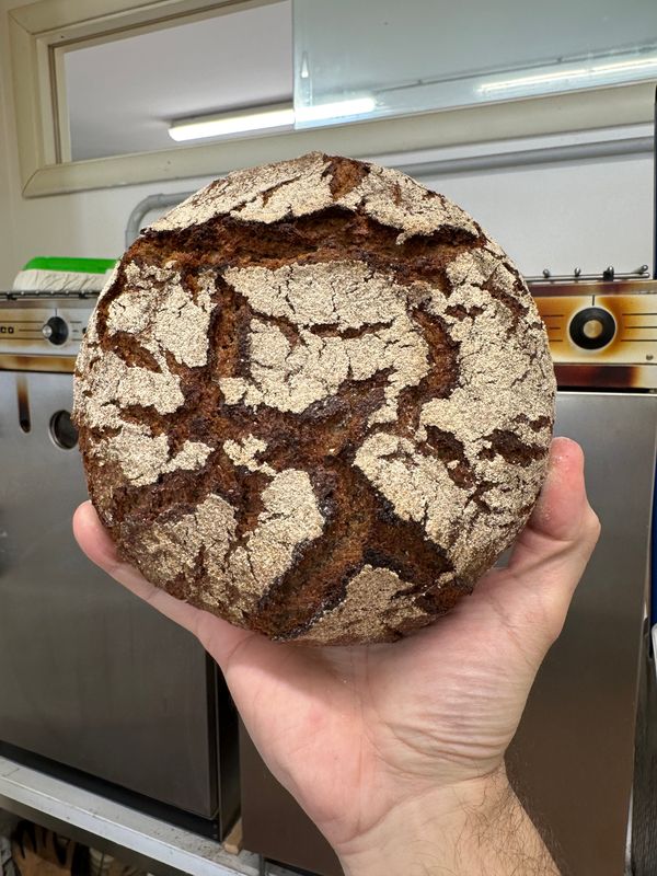 100% Segale Integrale