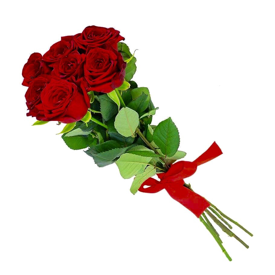 Red Roses with Ribbon