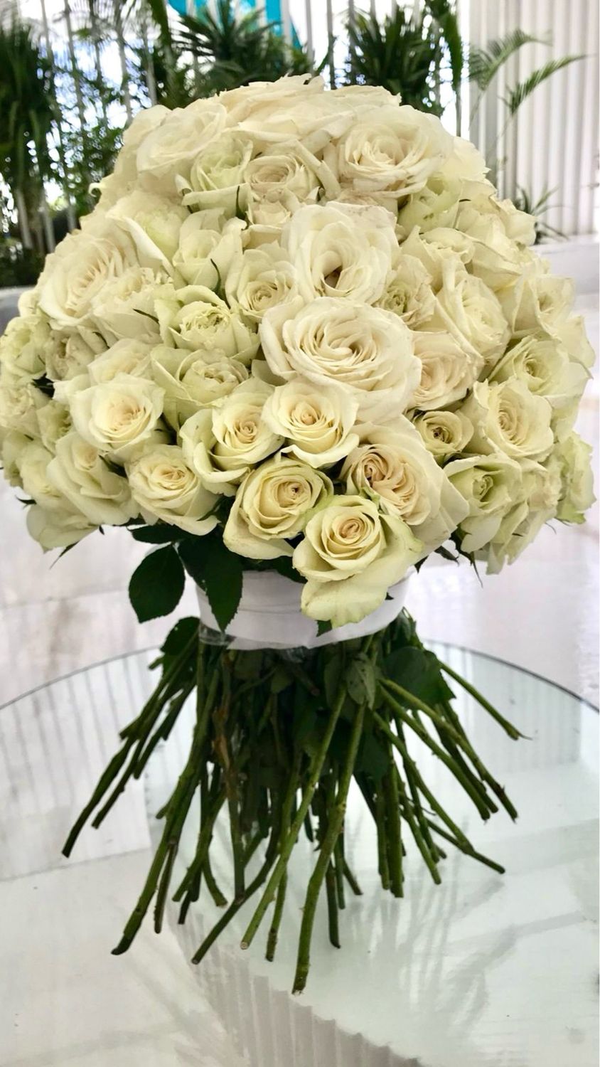 141 White Roses