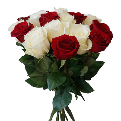15 Red and White Roses Bunch 