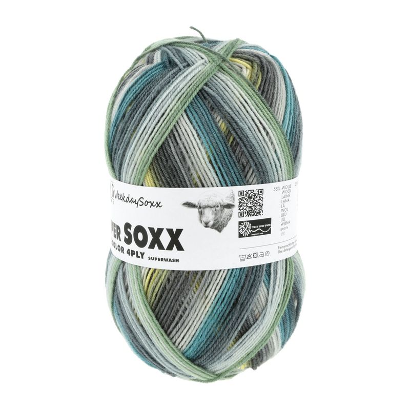 Lang Yarns Super SOXX Silk color WeekdaySoxx
