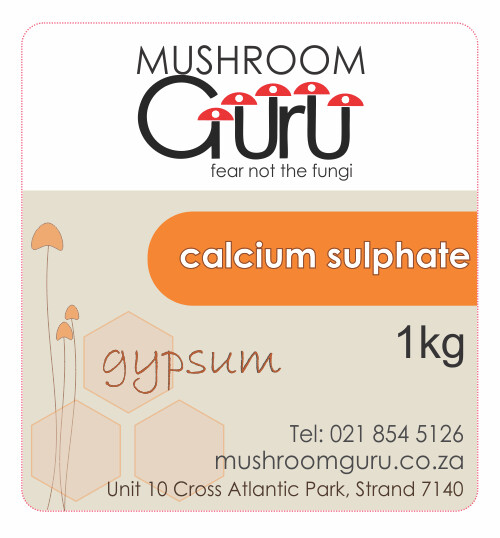 Gypsum (1 kg)