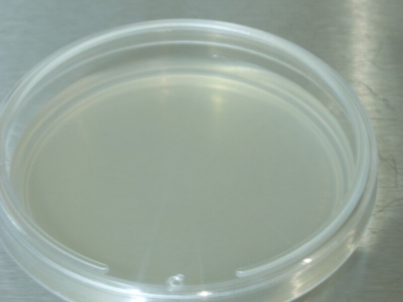 Nutrient Plate (MEA nutrient plate)