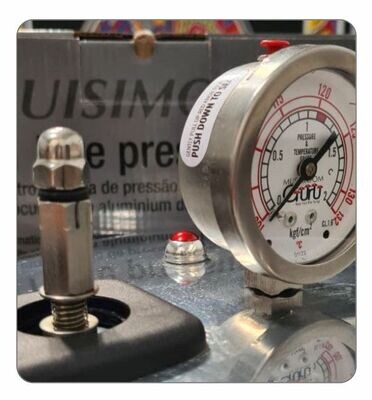 Temperature and Pressure Gauge