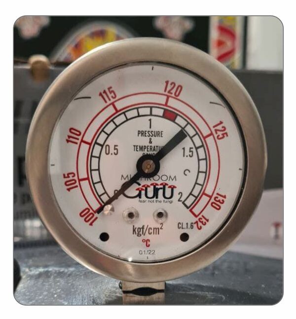 Temperature and Pressure Gauge