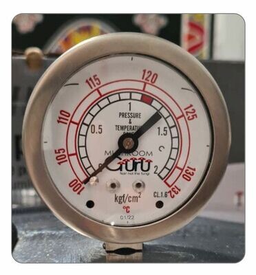 Temperature and Pressure Gauge
