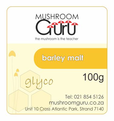 Barley Malt Extract (100 g)