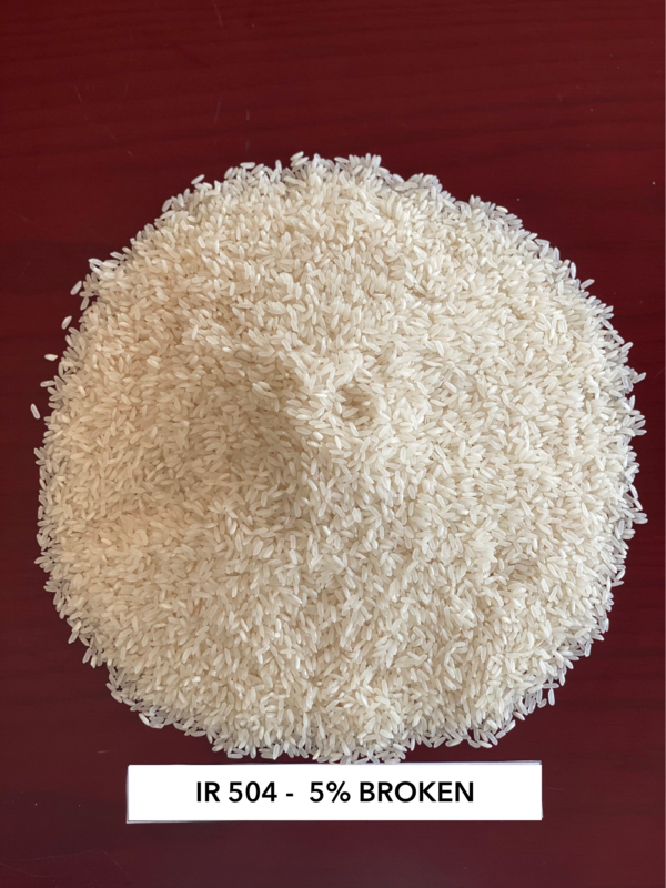 VIETNAMESE 504 VARIETY LONG GRAIN RICE 5% BROKEN