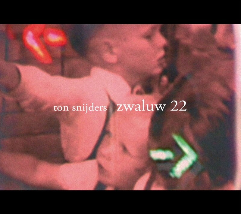 Ton Snijders - Zwaluw 22 (2007) Gesigneerd