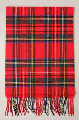 Softer Than Cashmere Scarf