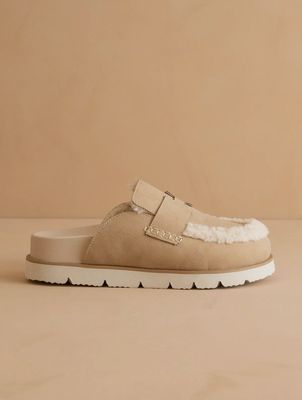 The Avalon Mule