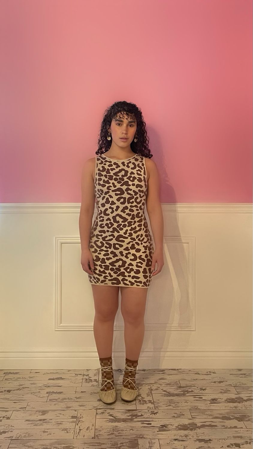 Leo Sweater Dress Leo Sweater Dress