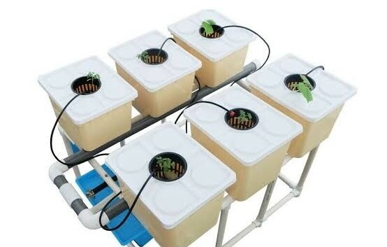 Dutch Bucket 6 System