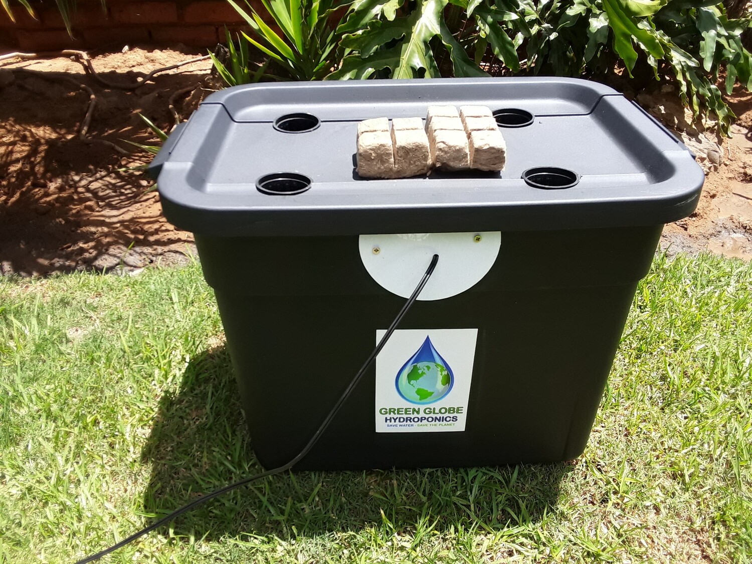 Dutch Bucket System