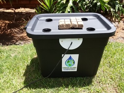 Dutch Bucket System