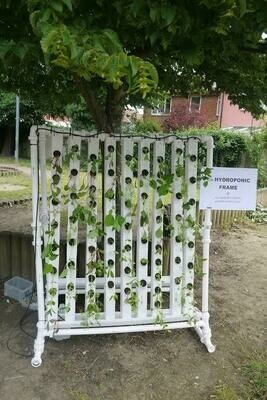 V-10 Aeroponic System