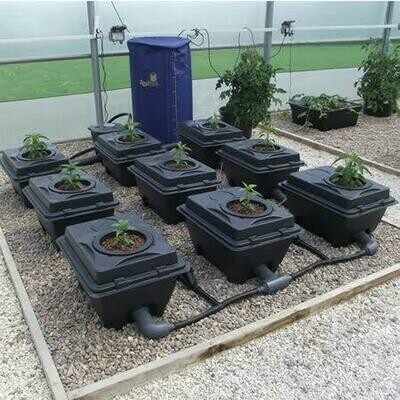 Dutch Bucket 9 System