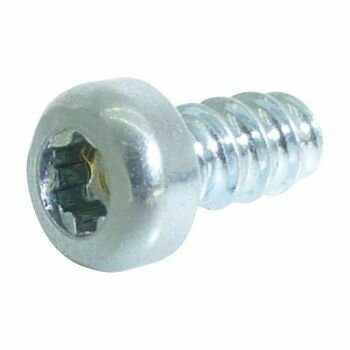 Small metal cheese head screw with torx fitting silver colour on a white background