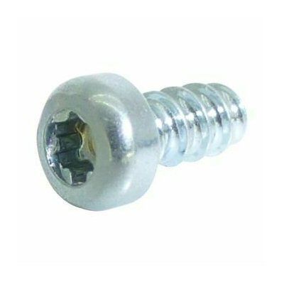 Small metal cheese head screw with torx fitting silver colour on a white background
