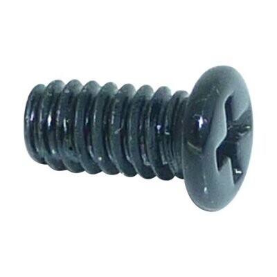 Small black screw with cross head on a white background