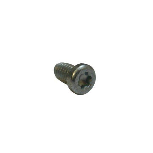 Small silver coloured screw with Torx slotted head on a white background
