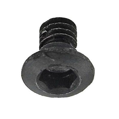 Sennheiser small black screw facing upwards and showing hexagonal socket in head on a white background