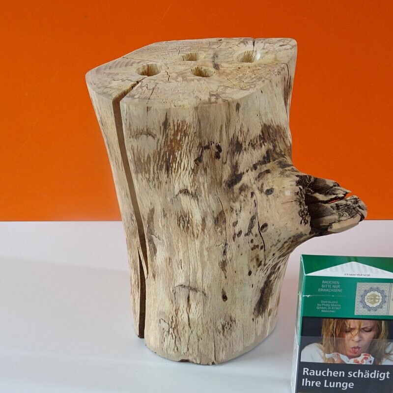 Buche Holz Stift Ständer