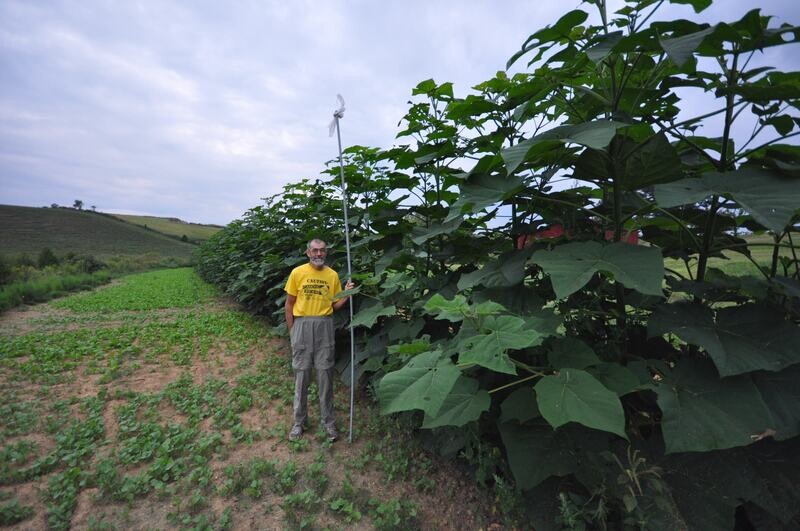 Half Day On-Site Consulting on My Farm