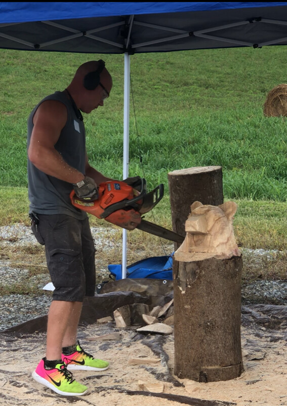 Paulownia Wood Carving Blocks