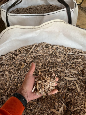 Paulownia Feed Stock for Making Charcoal, Biochar, or Ramial Mulch