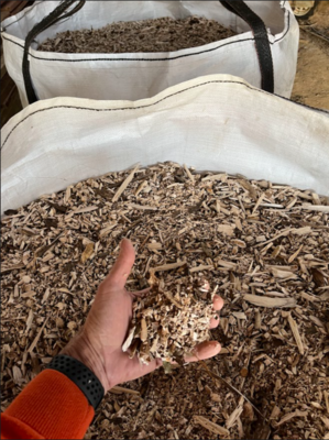 Paulownia Wood Chips