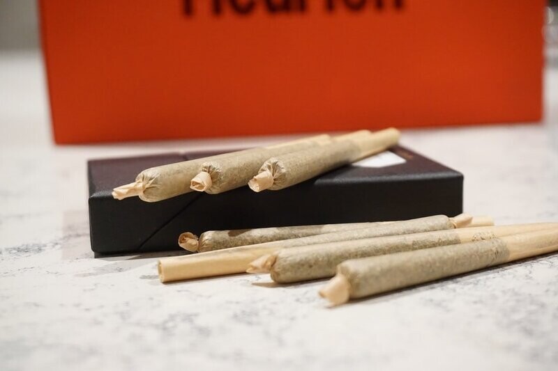 Goliath (Pre-Roll)