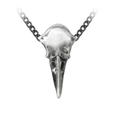 Raven's Skull Pendant