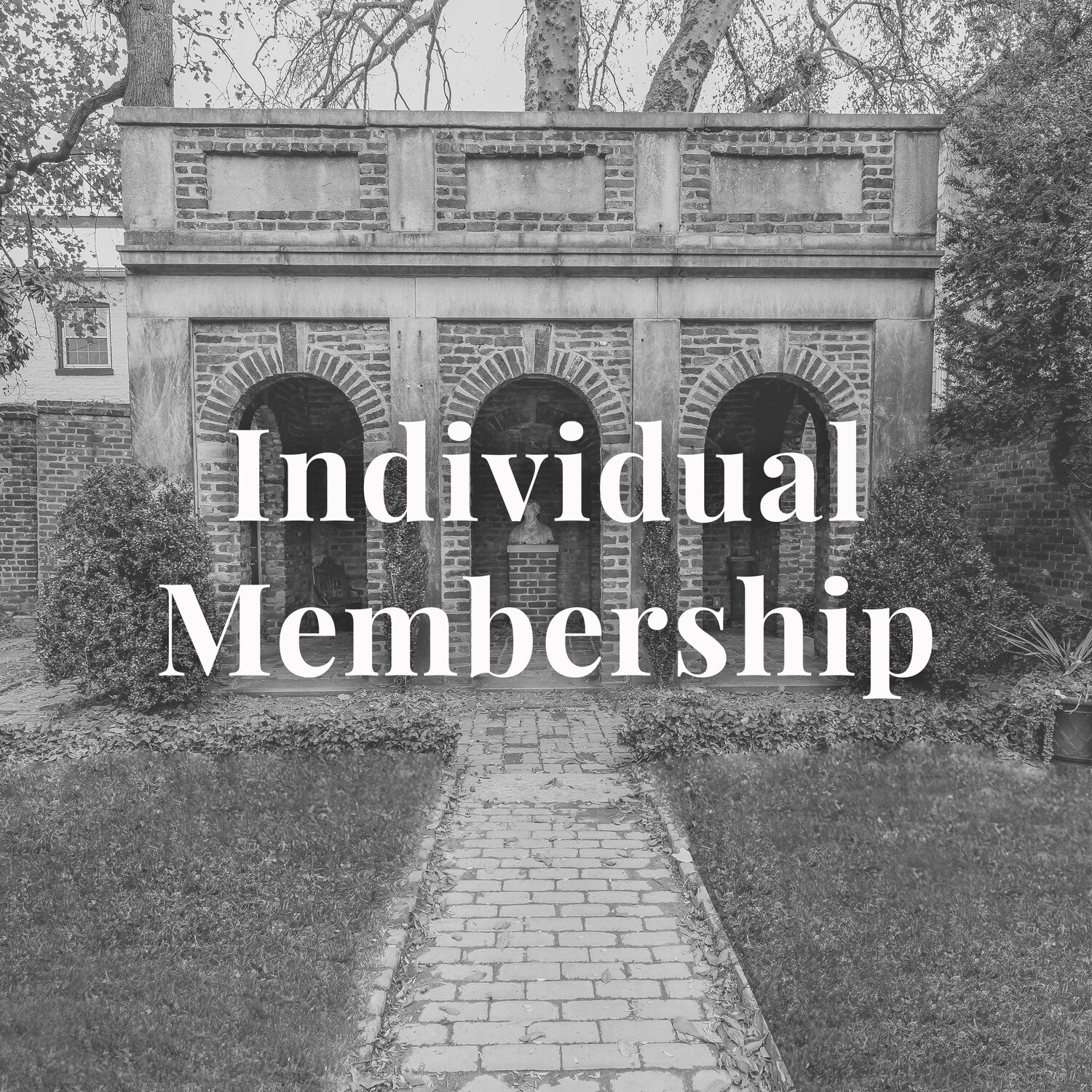 Individual Membership