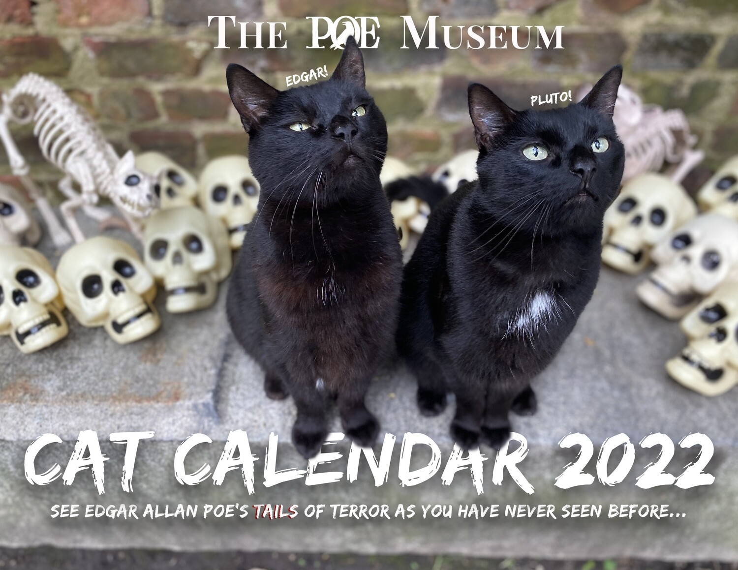 Edgar & Pluto 2022 Calendar