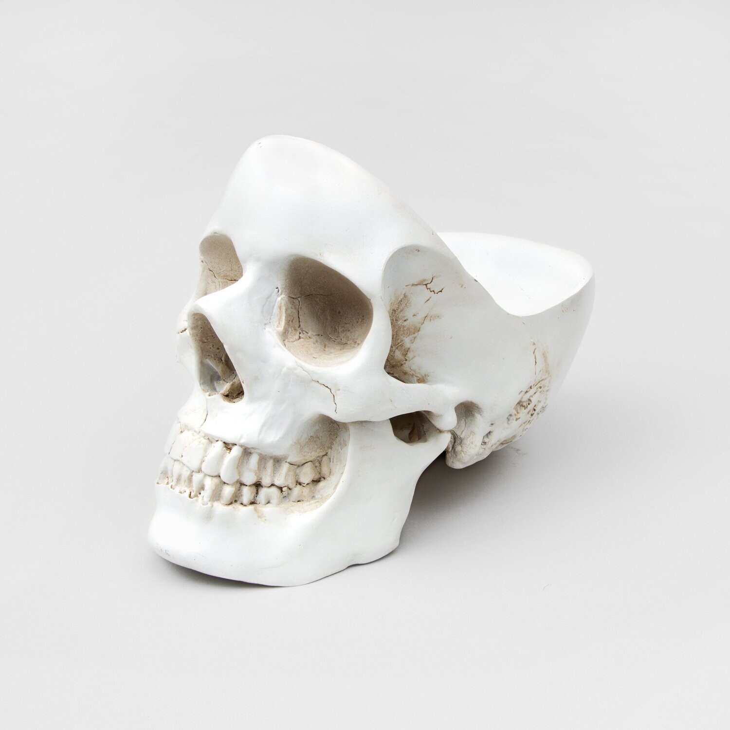 Skull Tidy Organizer