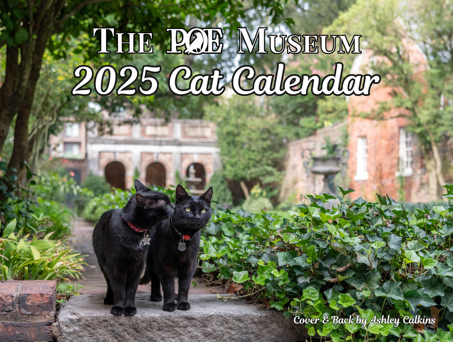 2025 Cat Calendar