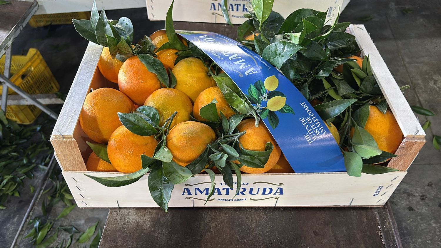 Chill & schill 22 februari 2026