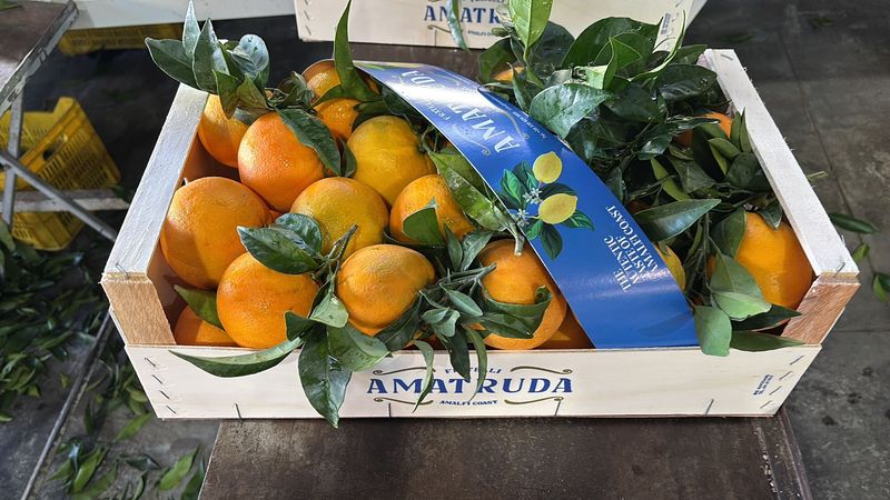 Chill & schill 22 februari 2026