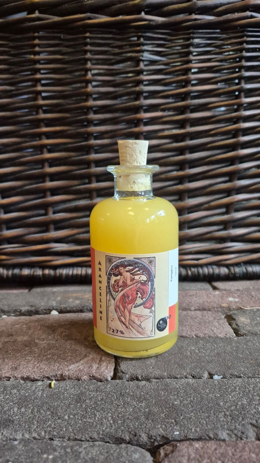 Aranceline pumpkin spice (250ml)