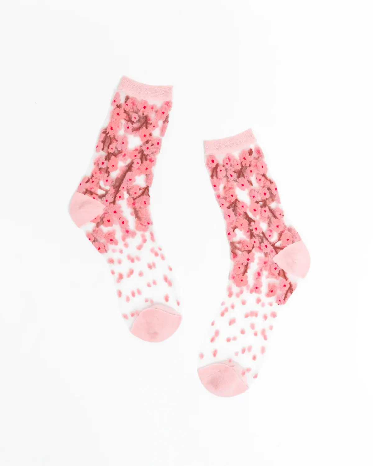 Sockcandy