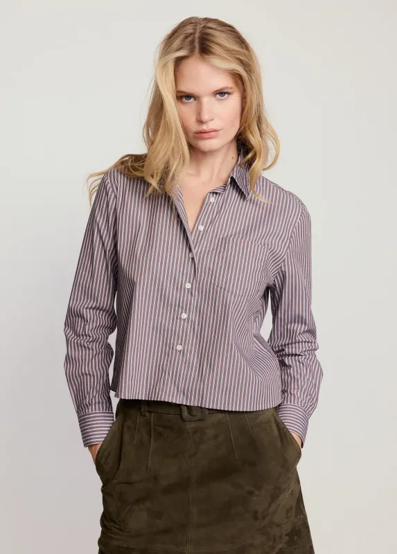 the shirt long sleeve boxy crop