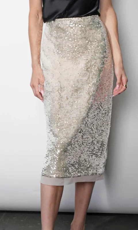 Greylin Velvet Sequin Midi Skirt