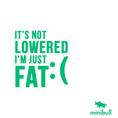 Not low just fat Sticker