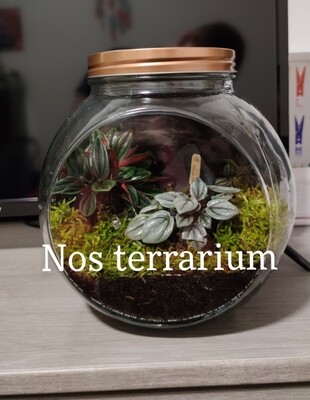 Nos Terrarium