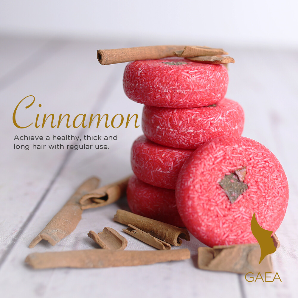 Gaea CINNAMON 2-in-1 Shampoo and Conditioner Bar