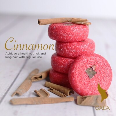 Gaea CINNAMON 2-in-1 Shampoo and Conditioner Bar