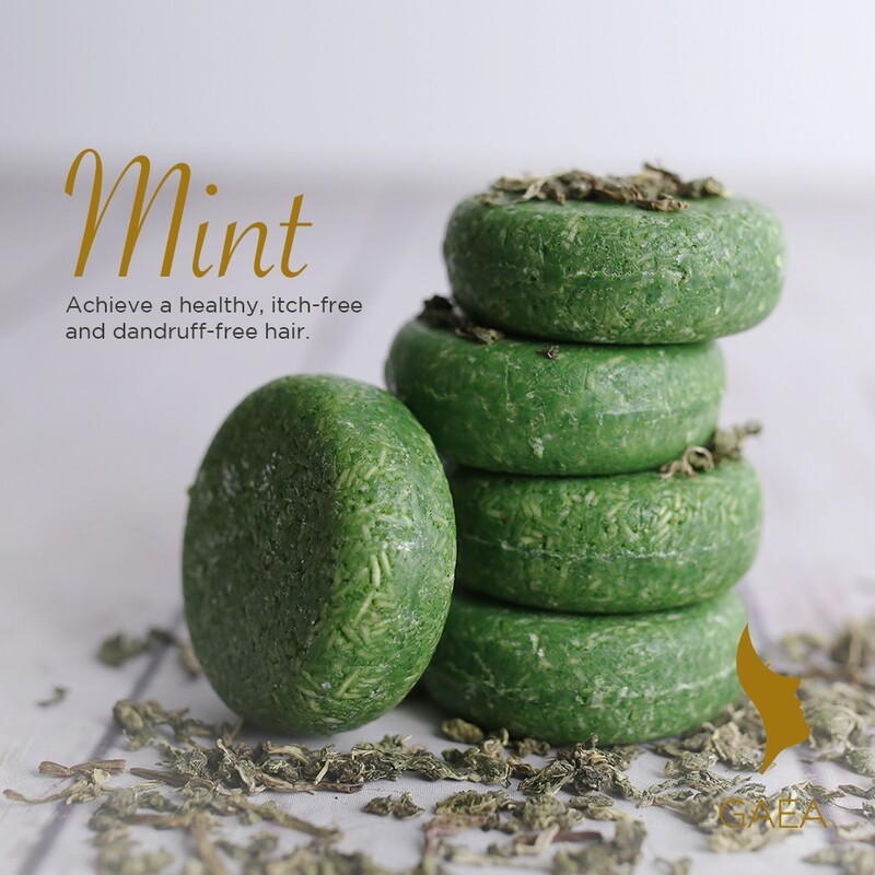 Gaea MINT Shampoo and Conditioner Bar
