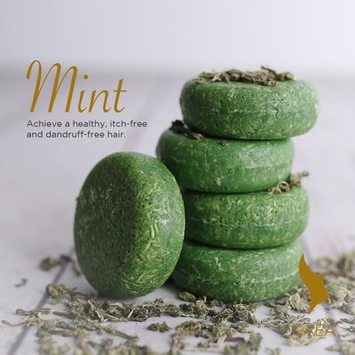 Gaea MINT Shampoo and Conditioner Bar
