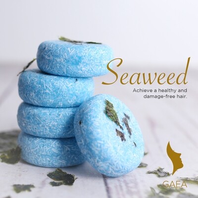 Gaea SEAWEED 2-in-1 Shampoo and Conditioner Bar